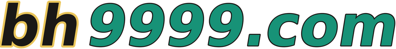 bh9999.com logo